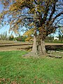 Wegekreuz (Schwarzes Kreuz)