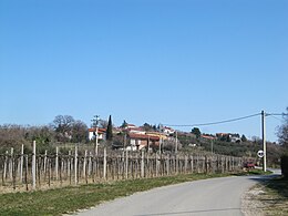 Barisoni – Veduta