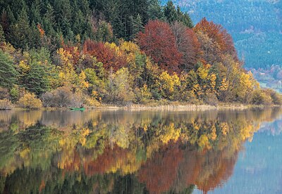 Slika:Cerknica Lake, Slovenia.jpg