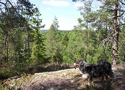 Utsikten från fornborgen mot nordväst.