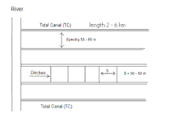 Fig. 2. Een getijdenkanaal loopt vanaf de rivier landinwaarts en verdeelt het water over de zijkanalen