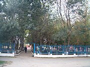 The town park