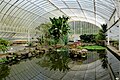 Glasshouse in the palace garden