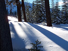 Sierra terrain in fresh powder