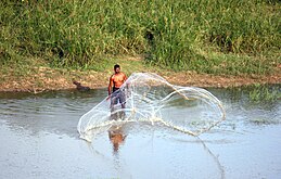 இலங்கையில் குளம் ஒன்றில்