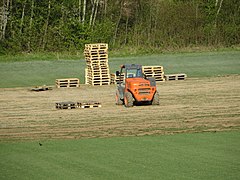 Standard-Grassoden werden auf Transportpaletten verladen