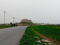 Arak hill