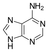 Estructura química de la adenina.