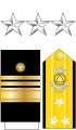 Vice admiral (חיל הקצינים הלאומי לאוקיינוס והאטמוספירה) (ארצות הברית)