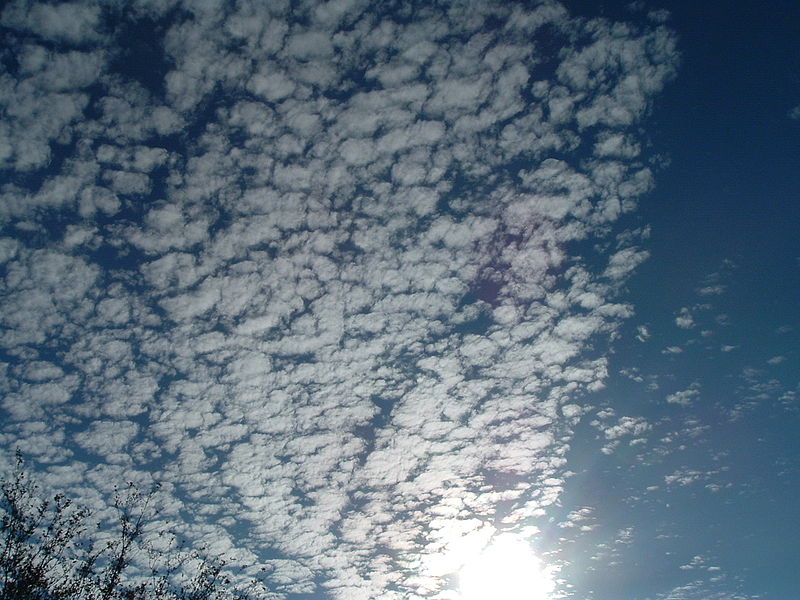 File:Mackerel sky over Orlando, FL.jpg