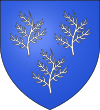 Blason Famille du Bourg