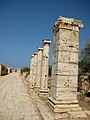 Una delle strade fondamentali dell'impianto urbano, compresa fra l'arco dei Severi e l'arco di Traiano.