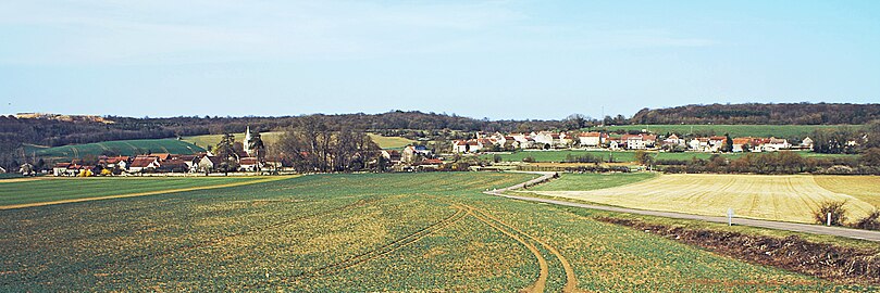 Magny-Lambert depuis la route de Villaines-en-Duesmois, Rue-Basse est à gauche et Rue-Haute à droite ; sur la ligne de crête à gauche une carrière de pierre du Châtillonnais.