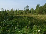 Vue d'une pelouse sèche présente dans la réserve.