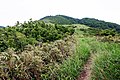 主尾根の段丘状地形