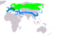 alt=Distribución del aguilucho pálido      área de incubación      área de ocupación sedentaria      área de invernada