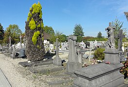 Escautpont - Cimetière d'Escautpont (23).JPG