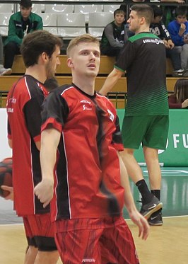 Luka Rupnik