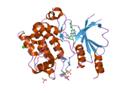 2cdz: CRYSTAL STRUCTURE OF THE HUMAN P21-ACTIVATED KINASE 4 IN COMPLEX WITH CGP74514A