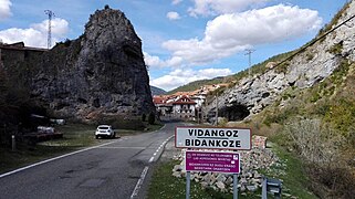 Bidankoze