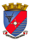 Coat of arms of Antsirabe I