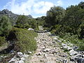 Calçada romana de Benaocaz a Ubrique