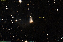 NGC 2313