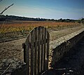 Vignoble du Domaine de Sulauze