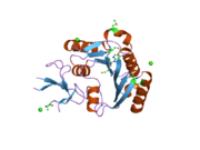 2ipx: Human Fibrillarin