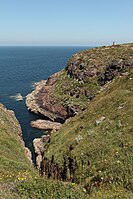 Cap Fréhel peninsula, Brittany, West France