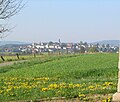 Blick auf Herbstein vom Radweg