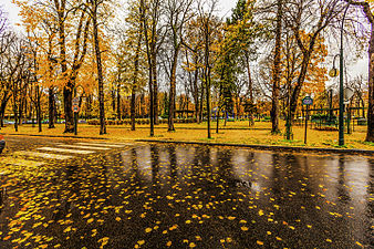 Autumn in France