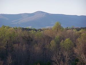 Bull Mountain in Patrick County