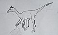 Martharaptor