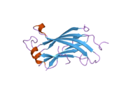 2foj: The crystal structure of the N-terminal domain of HAUSP/USP7 complexed with p53 peptide 364-367