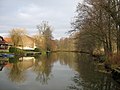 die Spree bei Leibsch im Unterspreewald