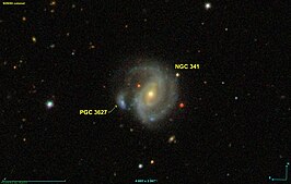 NGC 341B