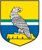 Coat of arms of Gmina Zbiczno