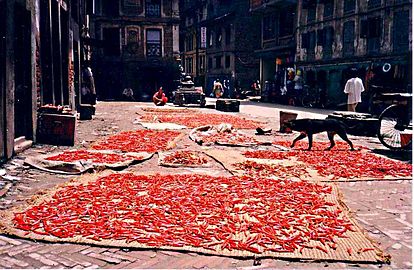 Čili paprika sušena u Katmandu, Nepal