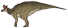 Lambeosaurus lambei