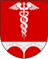 Coat of airms o Bengtsfors kommun