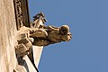 Wasserspeier am Wiener Stephansdom