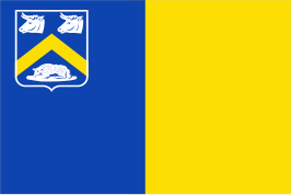 ? Vlag van Essen