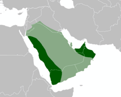 The State of Medina at its greatest peak, 632 AD.