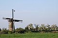 Molen de Vrijheid tijdens de Bloesemtocht