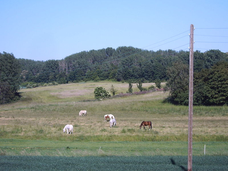 File:Sohlener Berge.jpg