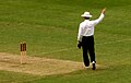 Cricket umpire.