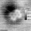 5つの6炭素環を含むPTCDA分子が見える原子間力顕微鏡(AFM)画像。