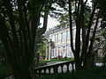 The windows of the pazo in the background from the grove