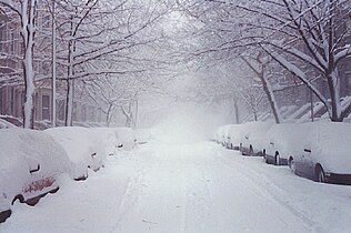 Snow in Park Slope, Brooklyn